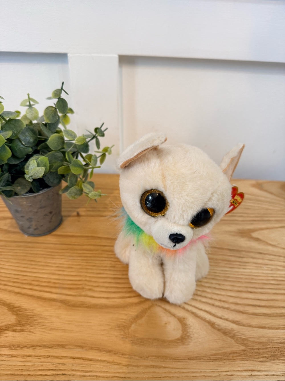 🌿 10/$25 • TY Beanie Boos Chewey Chihuahua